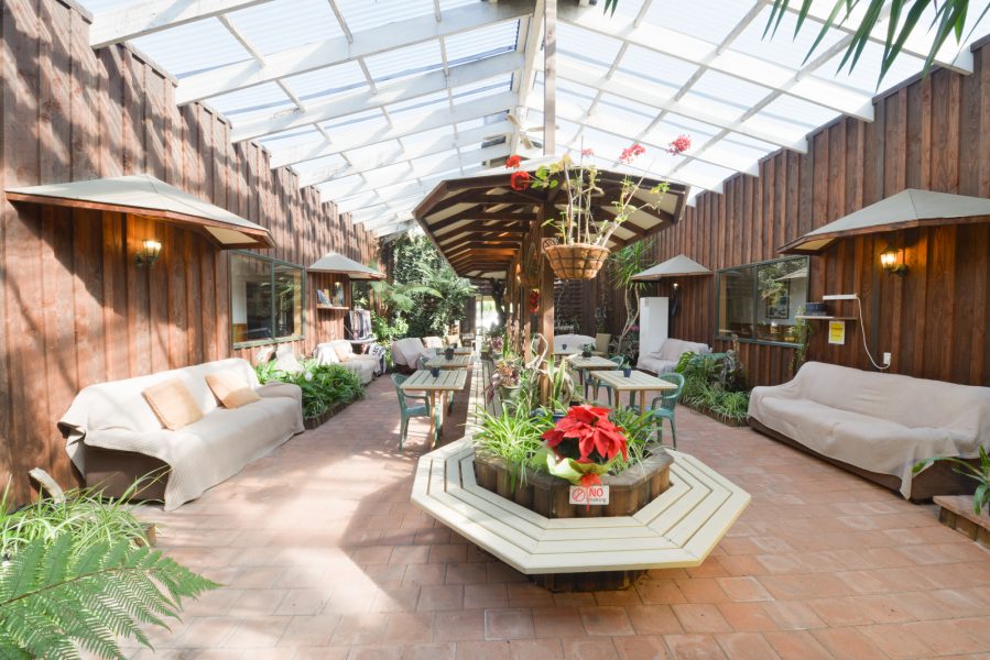 Atrium in wilderness motel haast new zealand